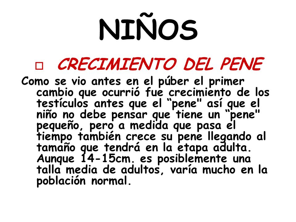 Que aumentar krovenapolnenie del miembro viril